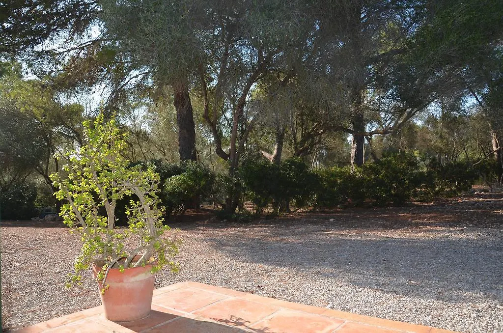 Finca Son Blat Porto Cristo 0*,