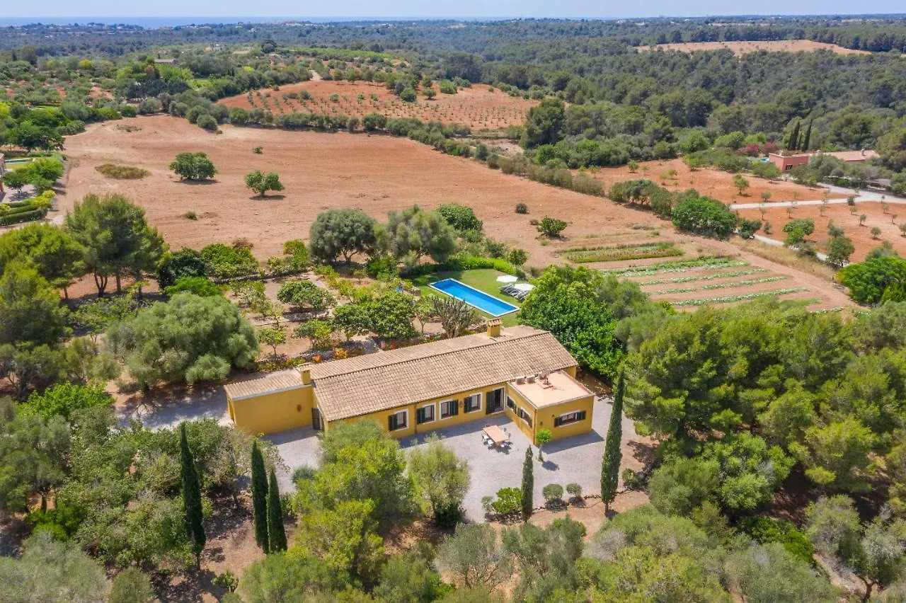 Villa Finca Son Blat Porto Cristo Spain